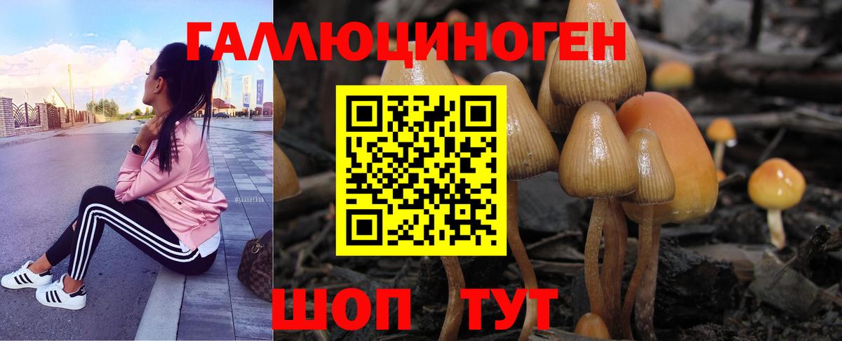 Галлюциногенные грибы MAGIC MUSHROOMS  Вход с VPN  купить наркотик  Елабуга 